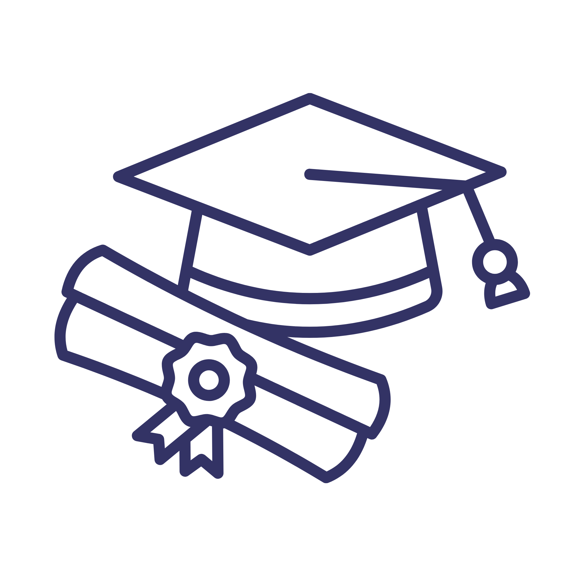 Academic icon